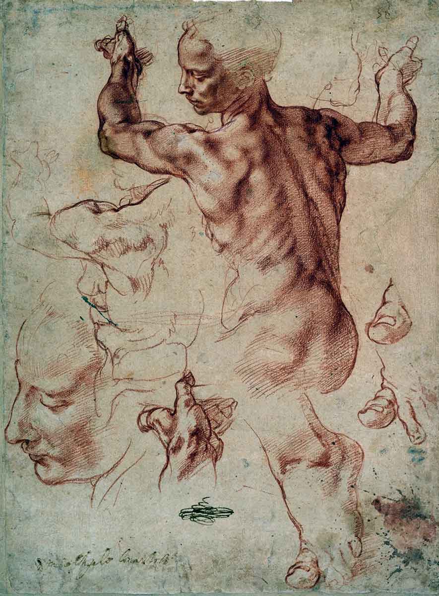 libyan sybil michelangelo study drawing