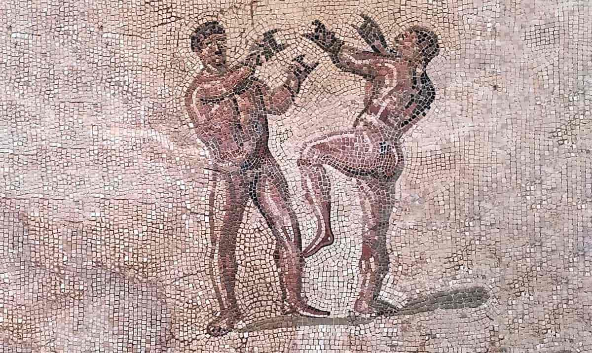 mosaic trier two boxers
