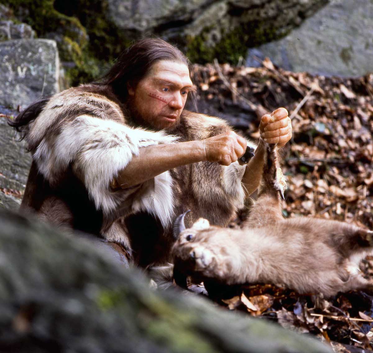 neanderthal oldest music