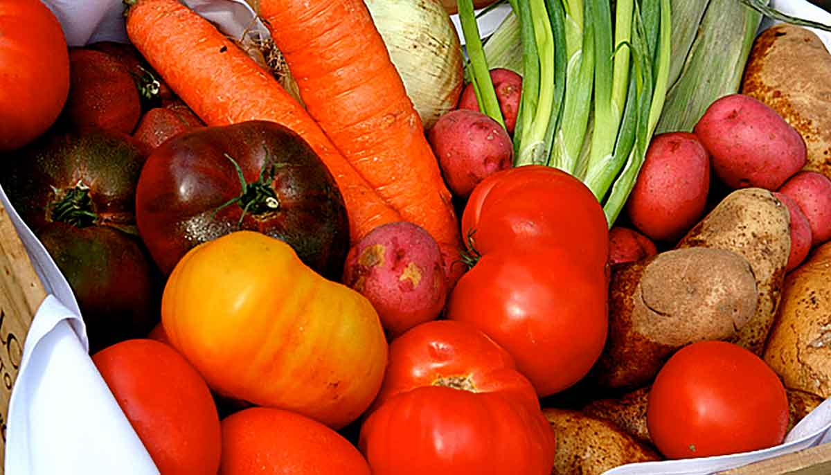 tomatoes potatoes carrots