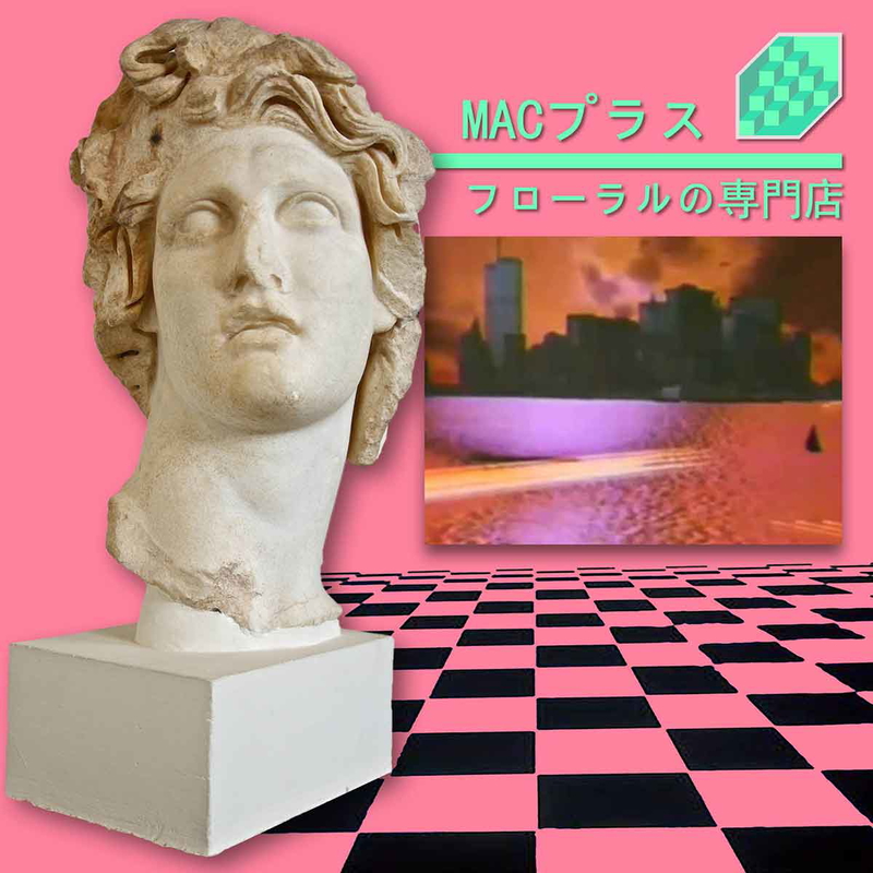 vektroid floral shoppe