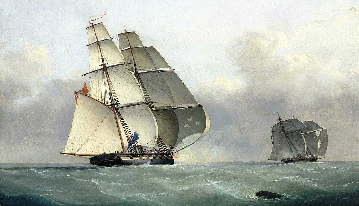 acorn captures gabriel