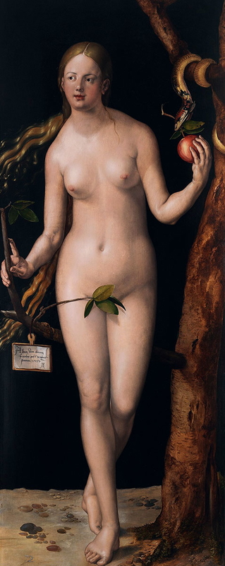 albrecht durer eve
