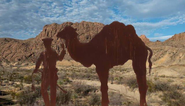camel corps feature