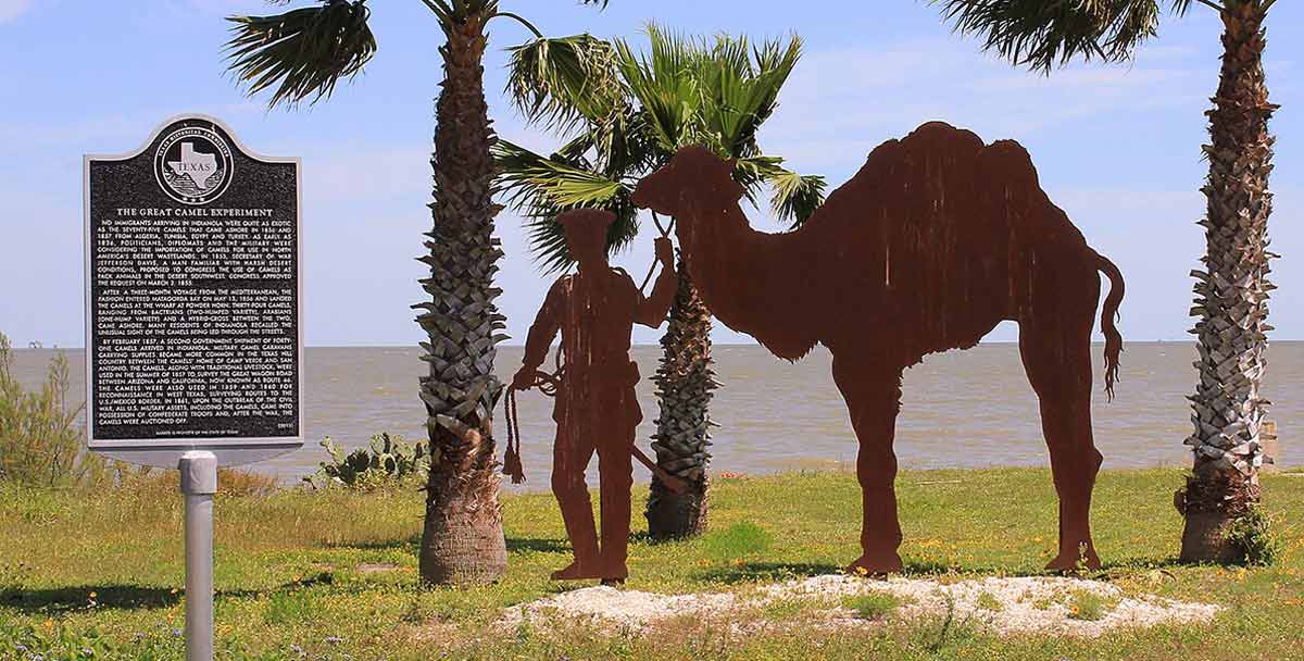 camel corps historical marker