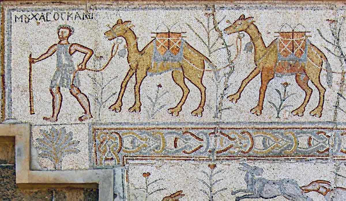 camel train image