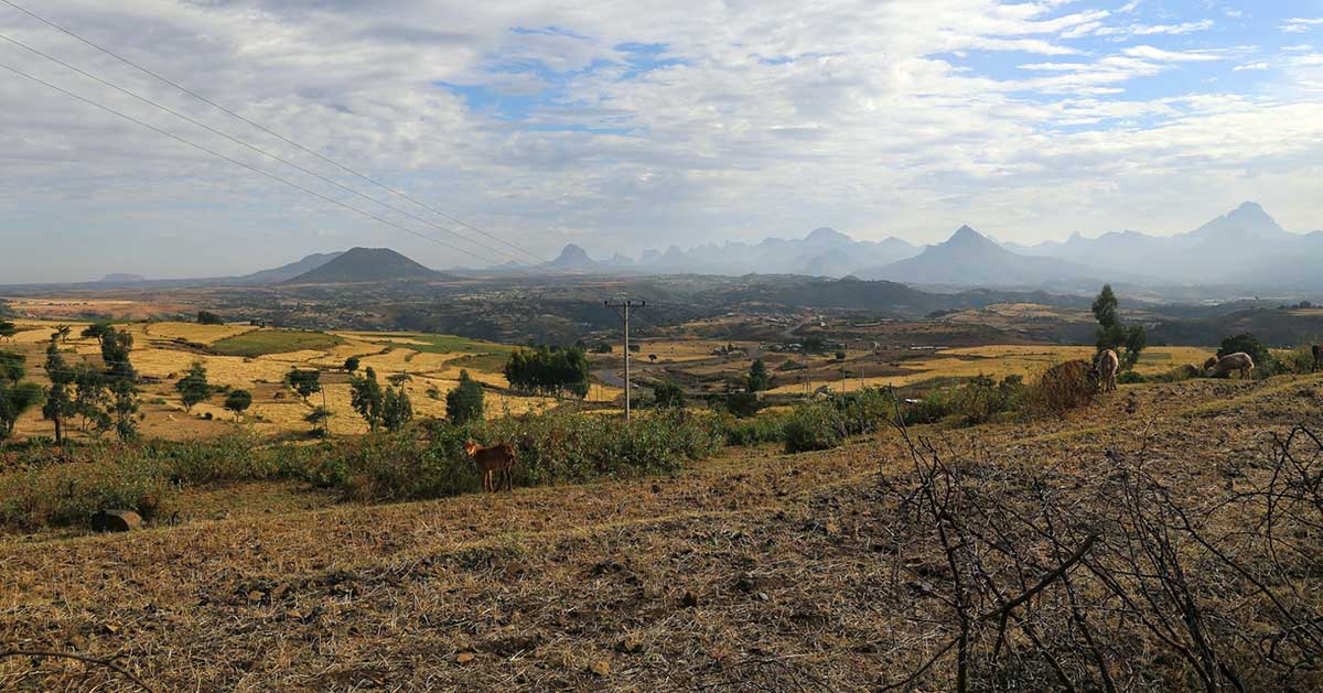 landscape of adwa