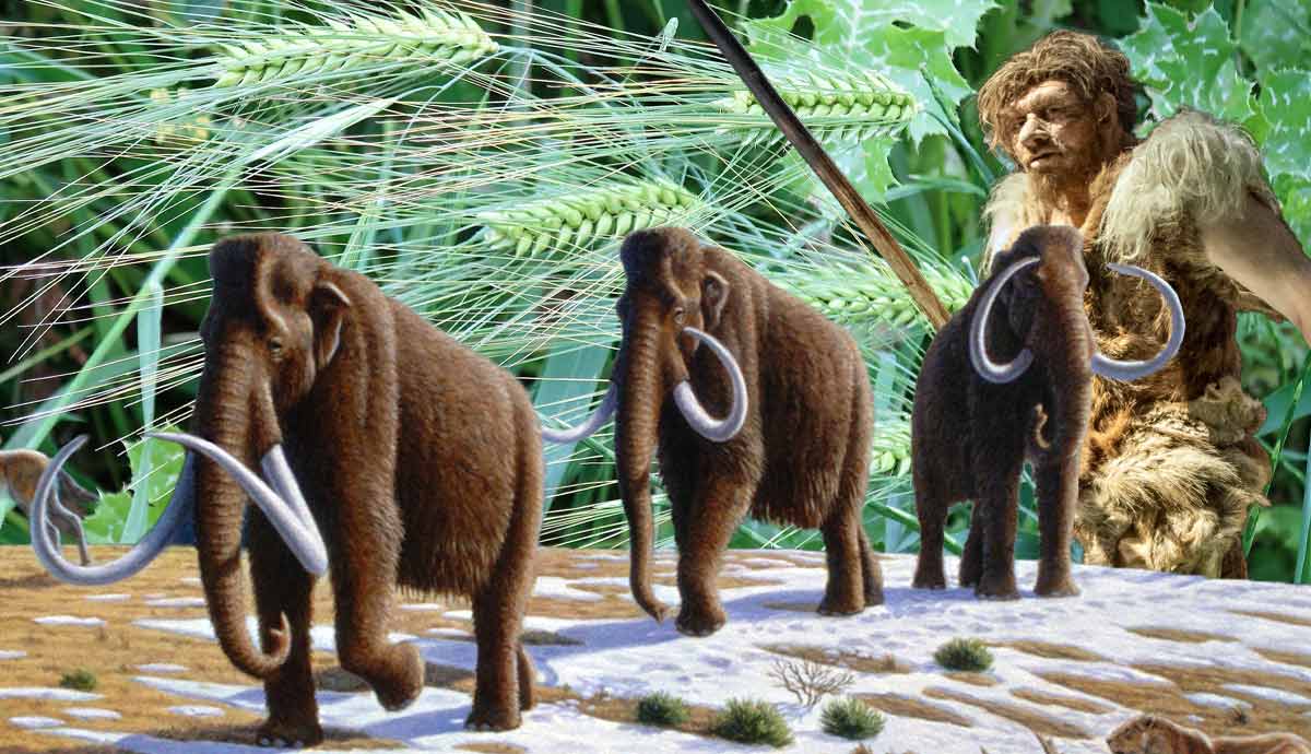 What Did Neanderthals Actually Eat to Survive the Ice Age?