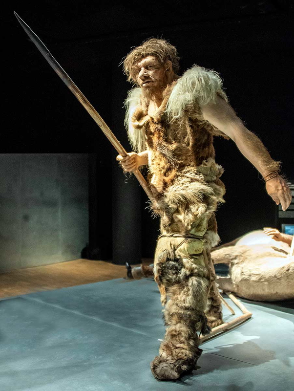 neanderthal gallo roman museum