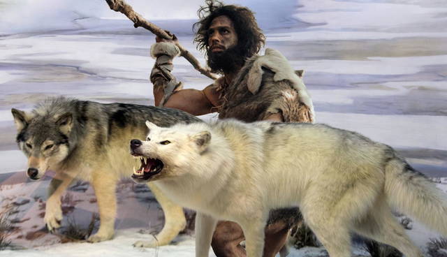 prehistoric wolves man feature