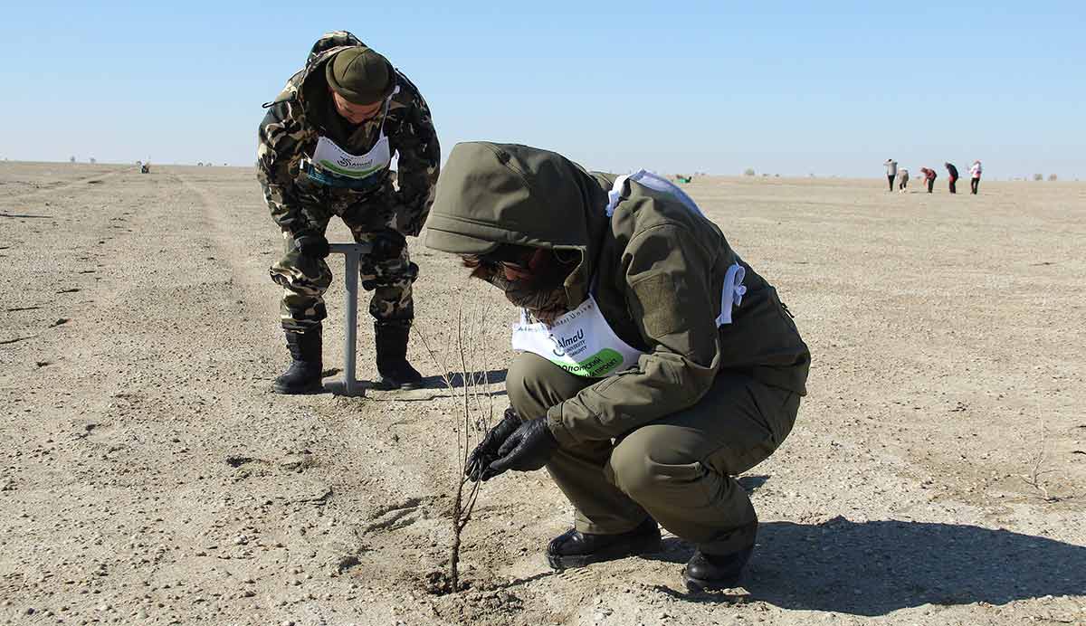 saxaul planting aral