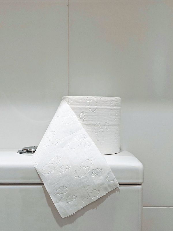 tp toilet image